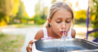 Detox mit Detoxalin, Neovital & Probiotic Vida – Ganzheitlich entgiften & regenerieren