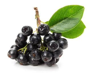 Natürliche Hilfe bei Allergien: Mit Hem Fever & Aronia Vida das Immunsystem stärken
