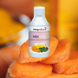 Essential Nutrients for Recovery After Antibiotics