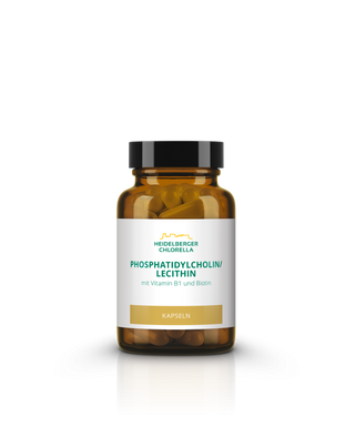 Phosphatidylcholine / Lecithin Capsules - Wohlfühlprodukte