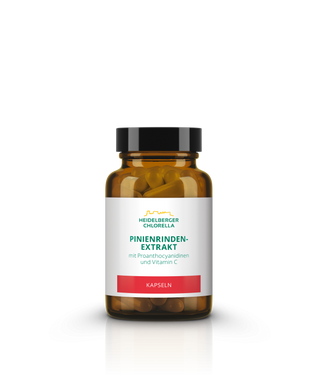 Pine bark extract capsules - Wohlfühlprodukte