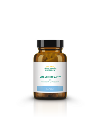 Vitamin B2 active as riboflavin-5-phosphate capsules - Wohlfühlprodukte