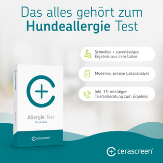 Hundeallergie Test - Wohlfühlprodukte