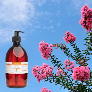 Argan Body Wash Myrte-Teebaum - 500ml Grosspackung