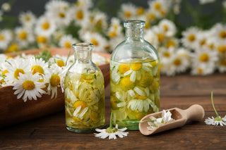 Entdecken Sie die wundersamen Eigenschaften von Hydrolaten in der Aromatherapie - für ein erfrischendes und belebendes Erlebnis.