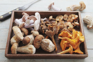 Entdecken Sie die Kraft der Natur mit unseren Supplements aus Pflanzenstoffen und Pilzextrakten - für mehr Wohlbefinden und Vitalität.