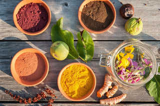 Mit unseren hochwertigen Supplements aus Pflanzenstoffen und Pilzextrakten bringen Sie Ihren Körper in Einklang mit der Natur und stärken Ihr Immunsystem.