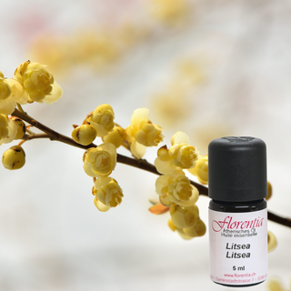 Litsea Bio 5 ml - Wohlfühlprodukte