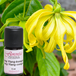 Ylang Ylang-komplett Bio 5 ml - Wohlfühlprodukte