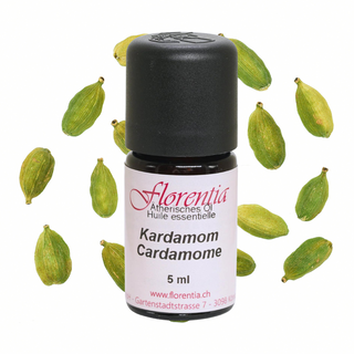 Kardamom 5 ml - Wohlfühlprodukte