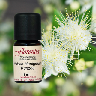 Weisse Honigmyrte (Kunzea) 5 ml wild - Wohlfühlprodukte