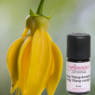 Ylang Ylang-komplett Bio 5 ml - Wohlfühlprodukte