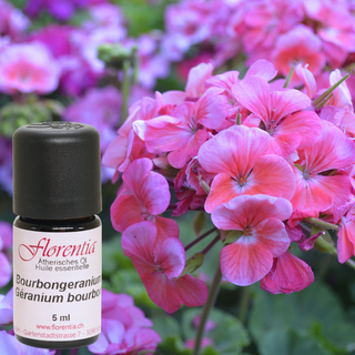 Bourbongeranium Bio 5 ml - Wohlfühlprodukte