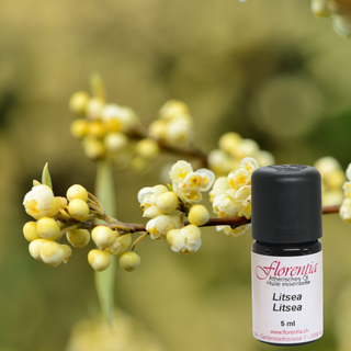 Litsea Bio 5 ml - Wohlfühlprodukte