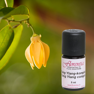 Ylang Ylang-komplett Bio 5 ml - Wohlfühlprodukte