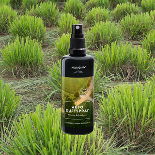 Allgäuer Erfrischung - Auto Duftspray - Wohlfühlprodukte