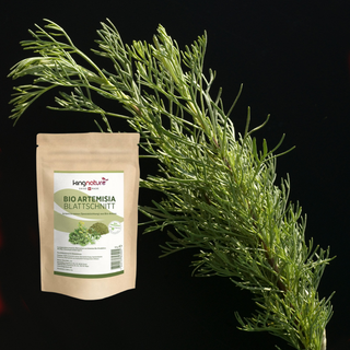 Artemisia Blattschnitt Bio - Wohlfühlprodukte