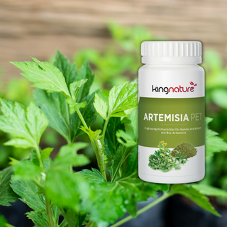 Artemisia PET Bio - Wohlfühlprodukte