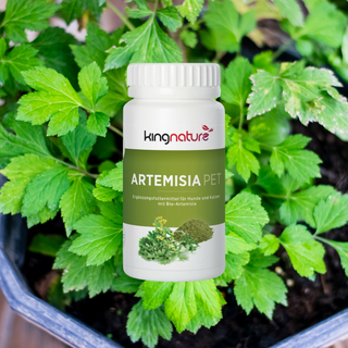 Artemisia PET Bio - Wohlfühlprodukte