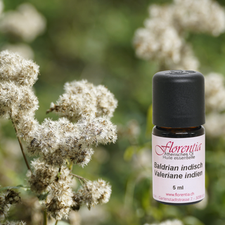 Baldrian 5 ml - Wohlfühlprodukte