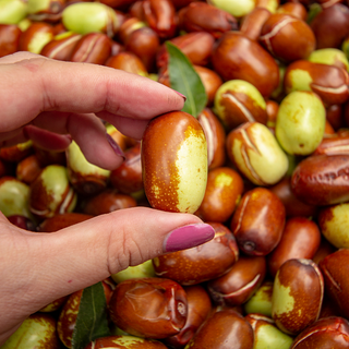 Boronia 10% wild in Jojobaöl bio/KP Bio 3 ml - Wohlfühlprodukte