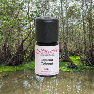 Cajeput Bio 5 ml - Wohlfühlprodukte