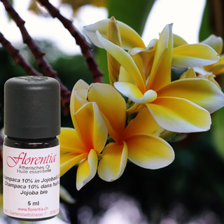 Champaca 10% in Jojobaöl Bio 5 ml - Wohlfühlprodukte