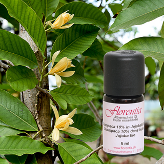 Champaca 10% in Jojobaöl Bio 5 ml - Wohlfühlprodukte