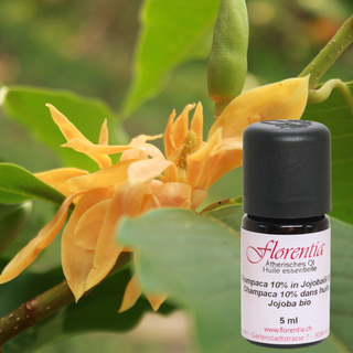 Champaca 10% in Jojobaöl Bio 5 ml - Wohlfühlprodukte