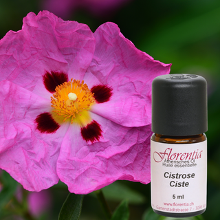 Cistrose 5 ml - Wohlfühlprodukte