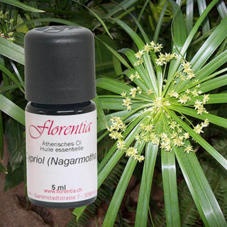 Cypriol (Nagarmotha) 5 ml wild - Wohlfühlprodukte