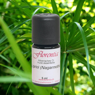 Cypriol (Nagarmotha) 5 ml wild - Wohlfühlprodukte