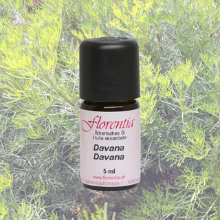 Davana 5 ml - Wohlfühlprodukte