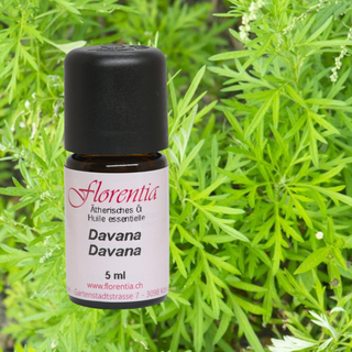 Davana 5 ml - Wohlfühlprodukte