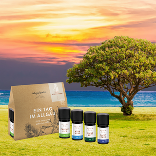 Ein Tag im Allgäu Geschenkset - Wohlfühlprodukte