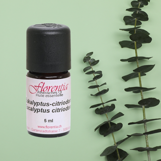 Eukalyptus-citriodora wild 5 ml - Wohlfühlprodukte