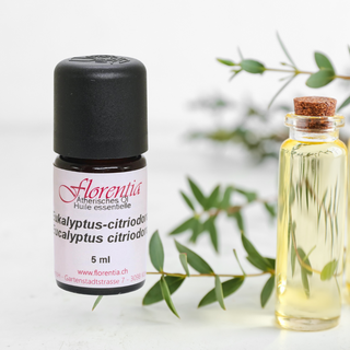 Eukalyptus-citriodora wild 5 ml - Wohlfühlprodukte