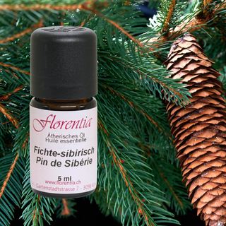 Fichte-sibirisch Wild 5 ml - Wohlfühlprodukte