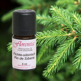 Fichte-sibirisch Wild 5 ml - Wohlfühlprodukte