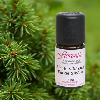 Fichte-sibirisch Wild 5 ml - Wohlfühlprodukte