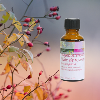 Hagenbuttensamenöl Bio 30 ml - Wohlfühlprodukte