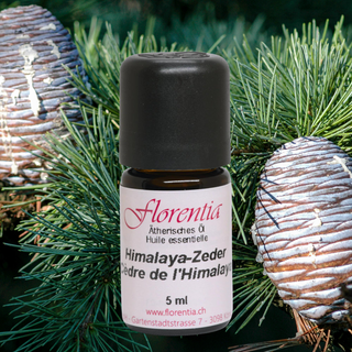 Himalaya Zeder 5 ml - Wohlfühlprodukte