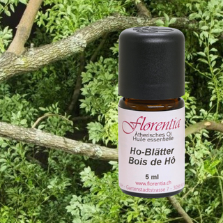 Ho-Blätter Bio 5 ml - Wohlfühlprodukte