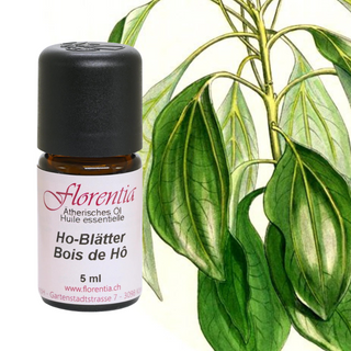 Ho-Blätter Bio 5 ml - Wohlfühlprodukte