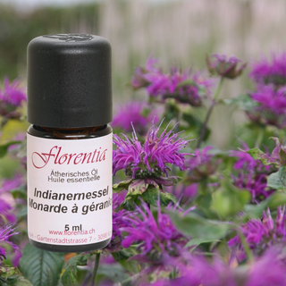 Indianernessel 5 ml - Wohlfühlprodukte