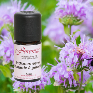 Indianernessel 5 ml - Wohlfühlprodukte