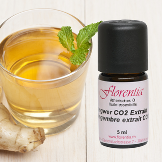 Ingwer CO2 Extrakt wild 5 ml - Wohlfühlprodukte