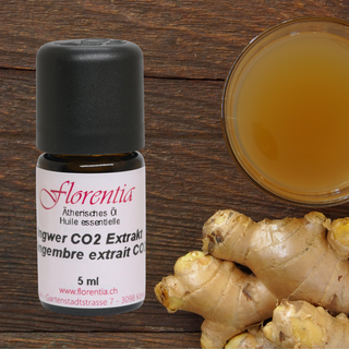 Ingwer CO2 Extrakt wild 5 ml - Wohlfühlprodukte