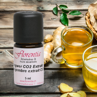 Ingwer CO2 Extrakt wild 5 ml - Wohlfühlprodukte