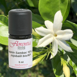 Jasmin Sambac 10% in Jojobaöl bio/KP 5 ml - Wohlfühlprodukte